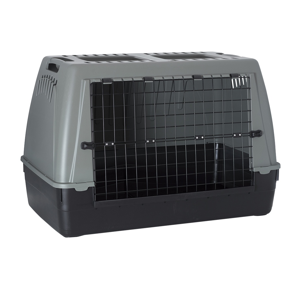 Baron ECO Car box 100