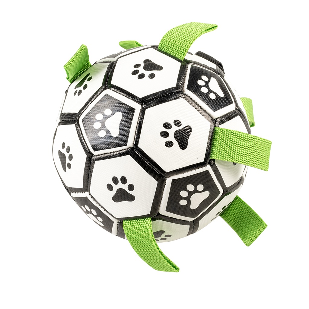 Pet Football
