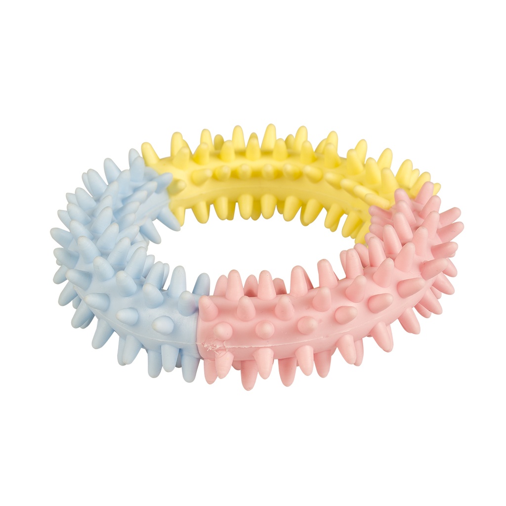 Puppy TPR Beissring