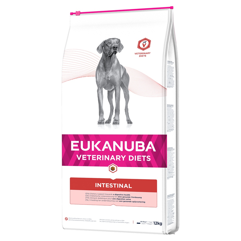 Veterinary Diets Intestinal Dog
