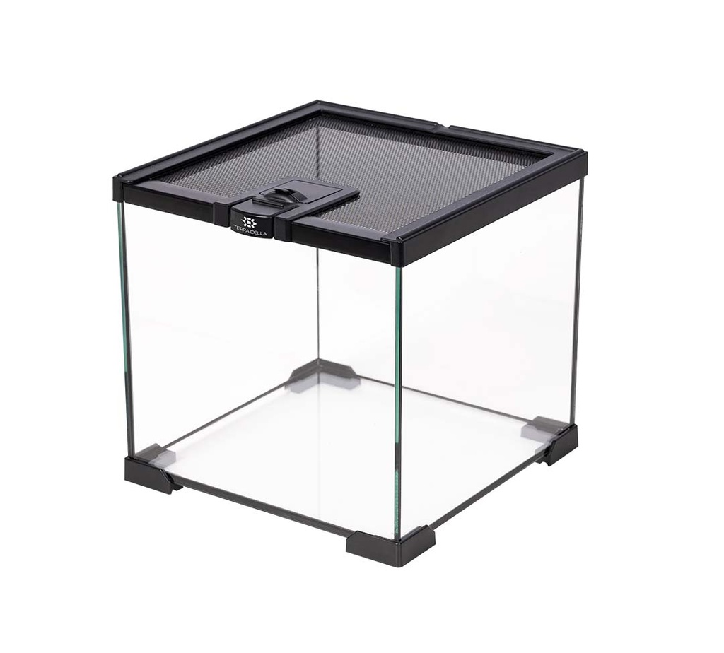 Terrarium Glas
