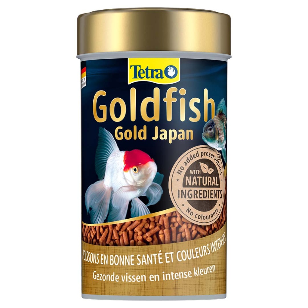 Goldfish gold japan