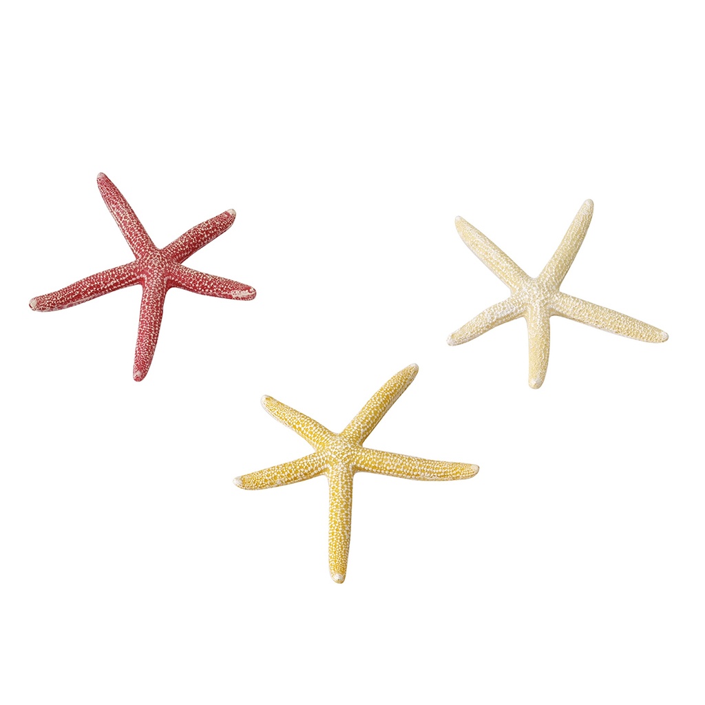 Starfish Mix