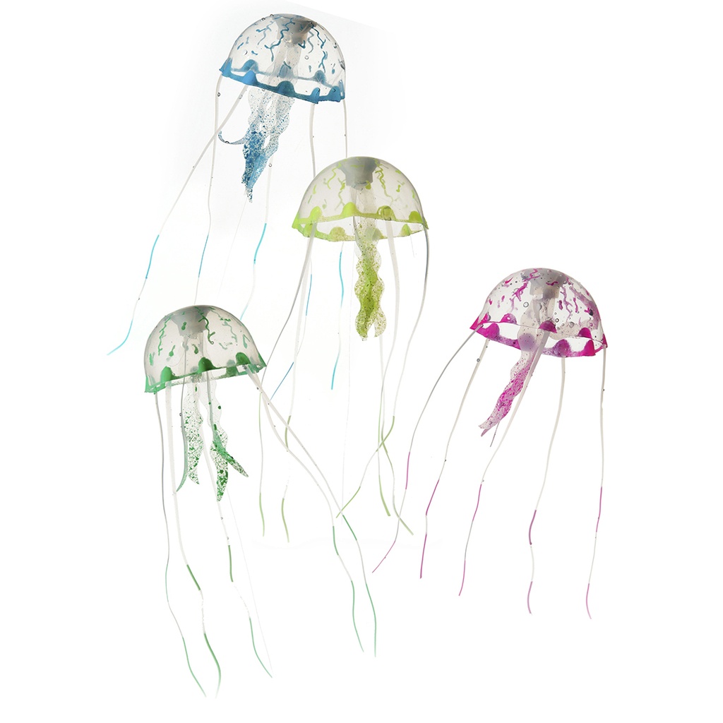 Jellyfish /Color Mix