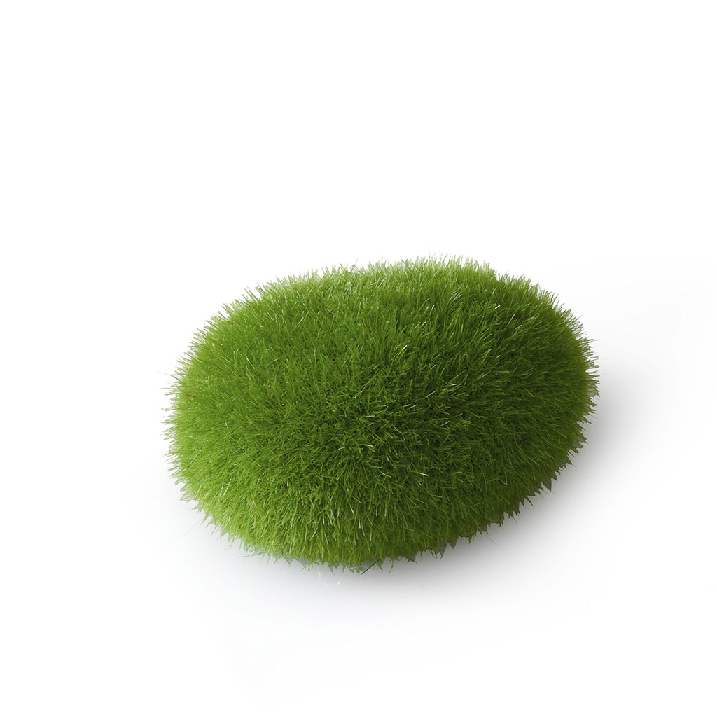 Moos Ball