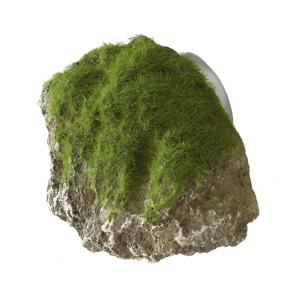 Moss Stone With Suction Cup