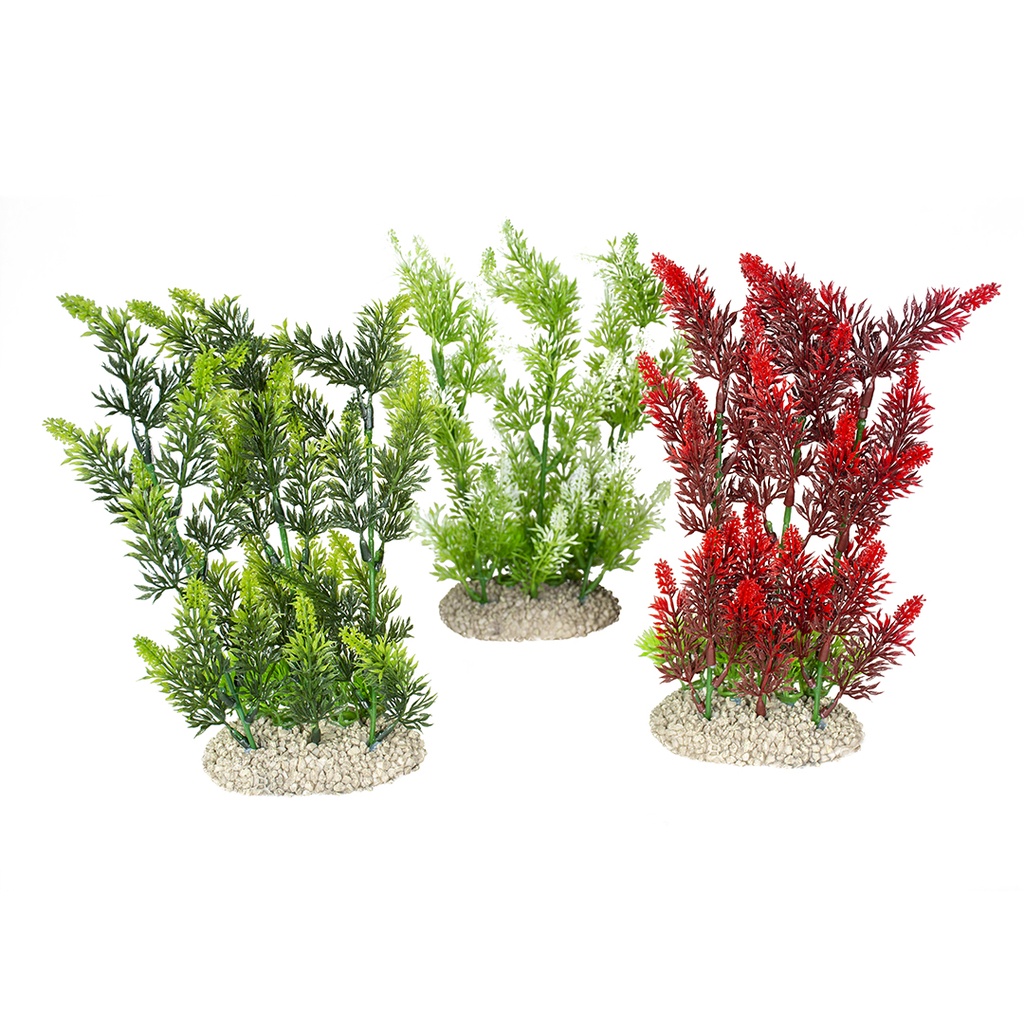 Plant elodea densa