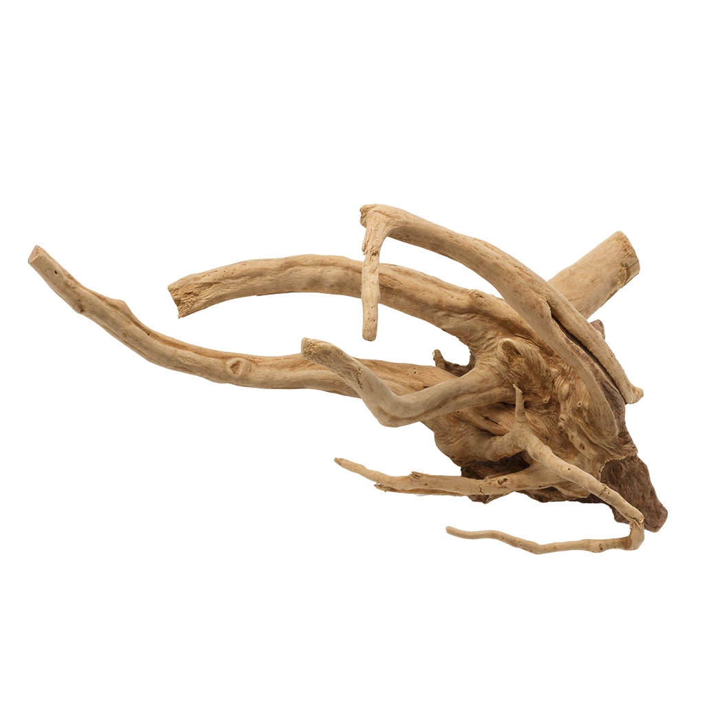 Driftwood poli