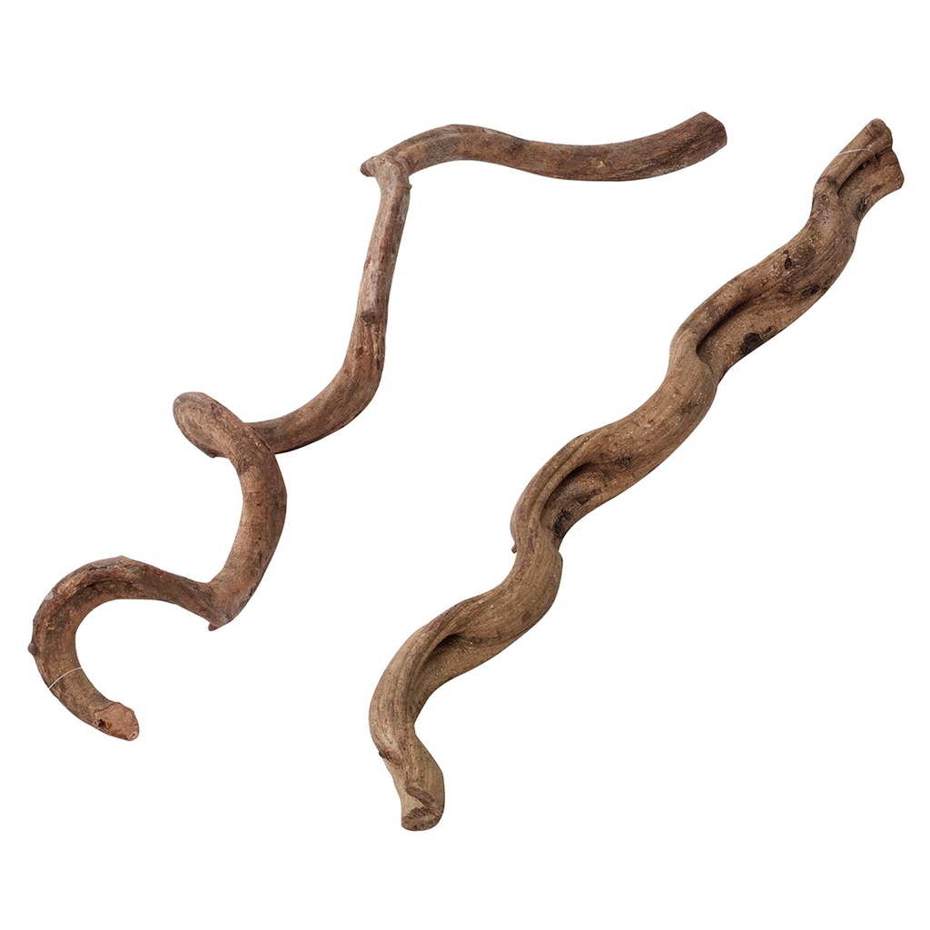 Vines