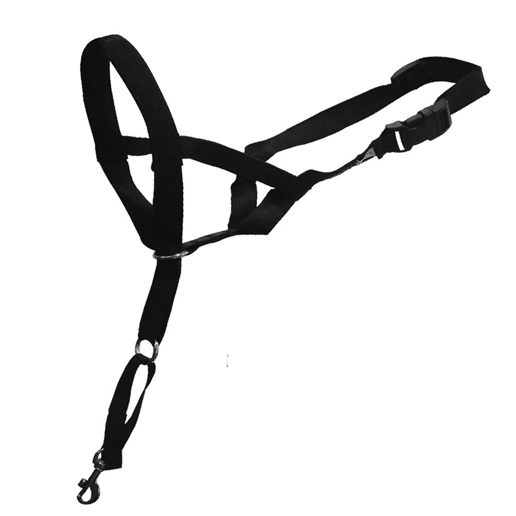 En Route Dog Control