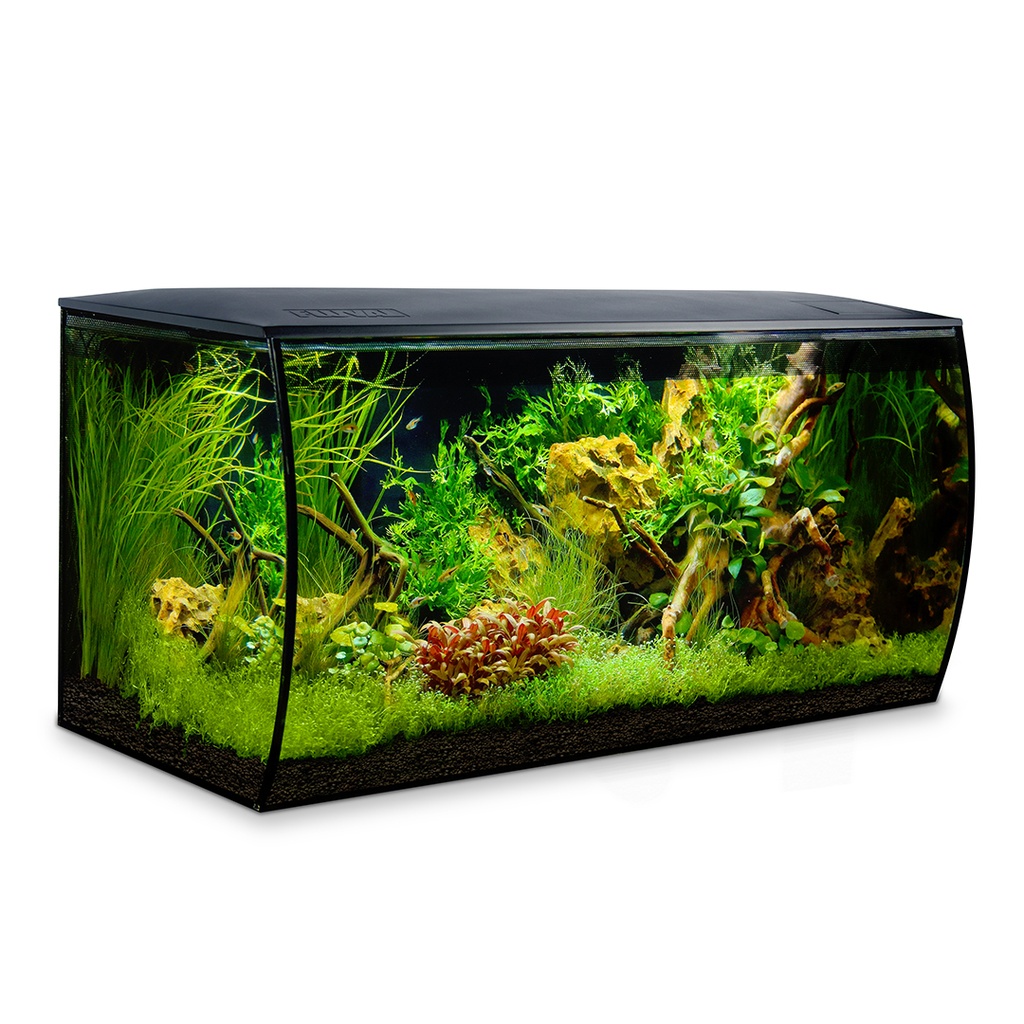 Fluval flex aquarium kit eau douce