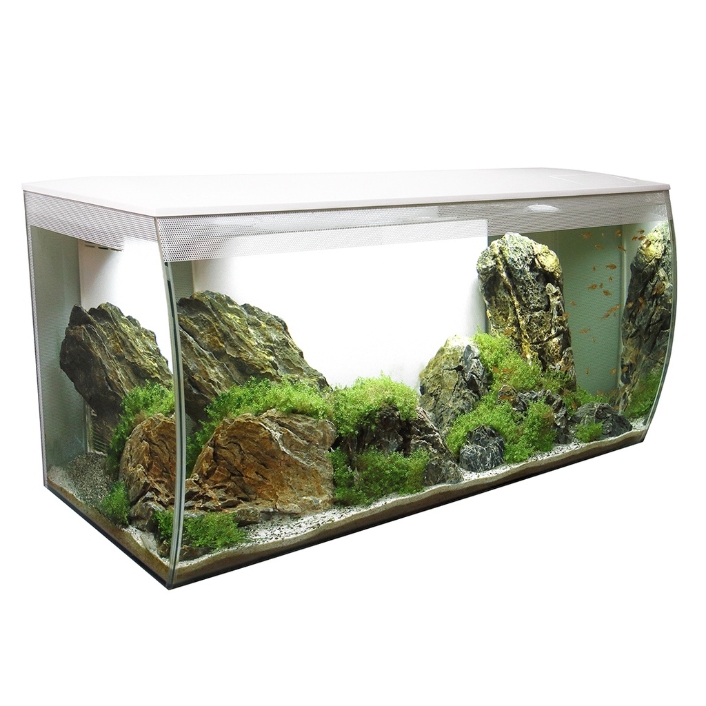 Fluval flex aquarium kit eau douce