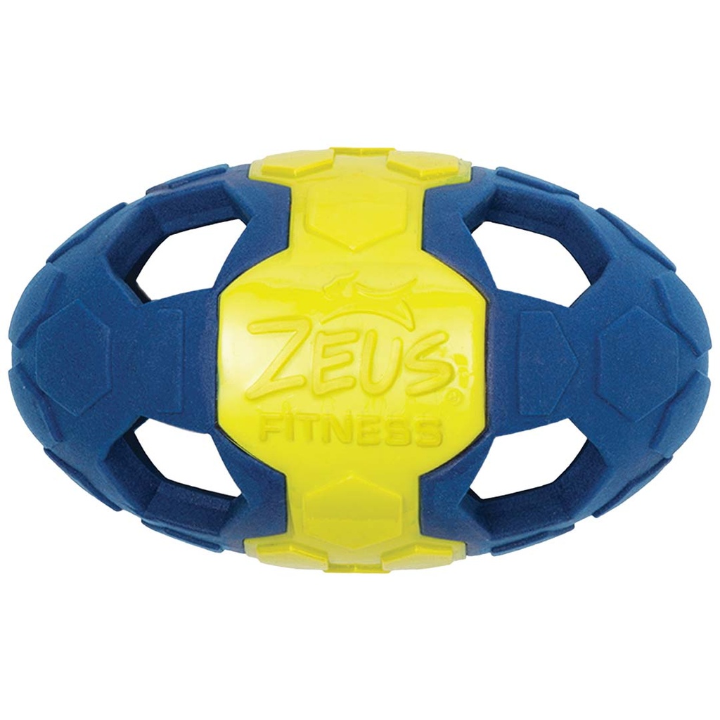 ZS Fitness Fetch Football