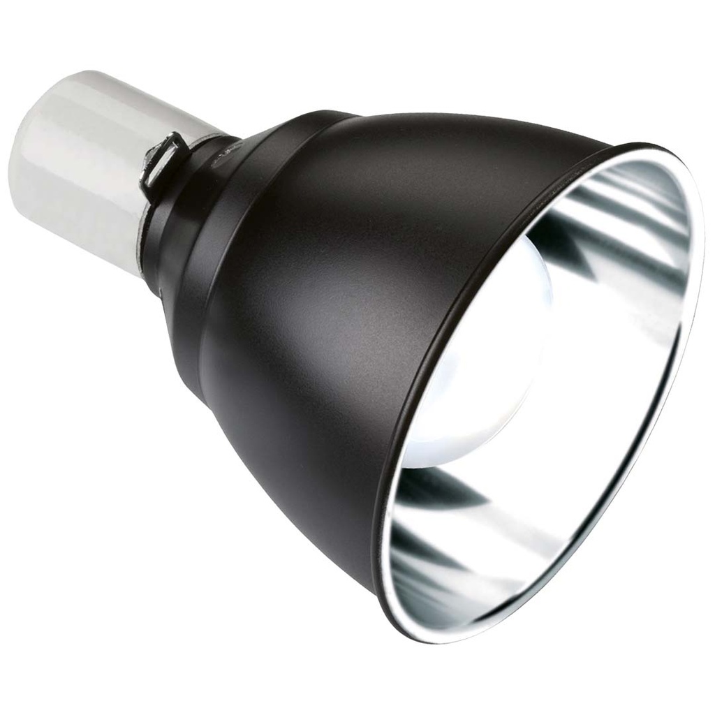 EX light dome lighting fixture
