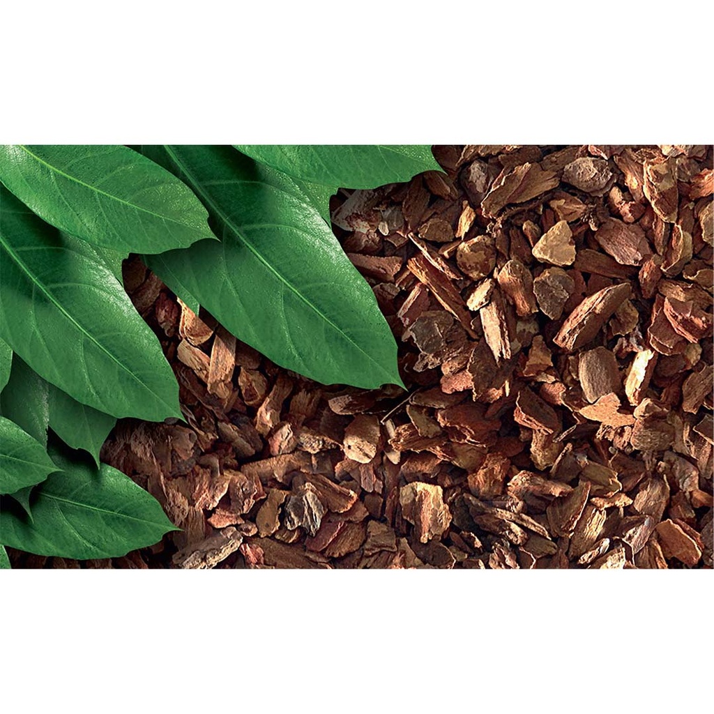 EX forest bark terrarium substrate