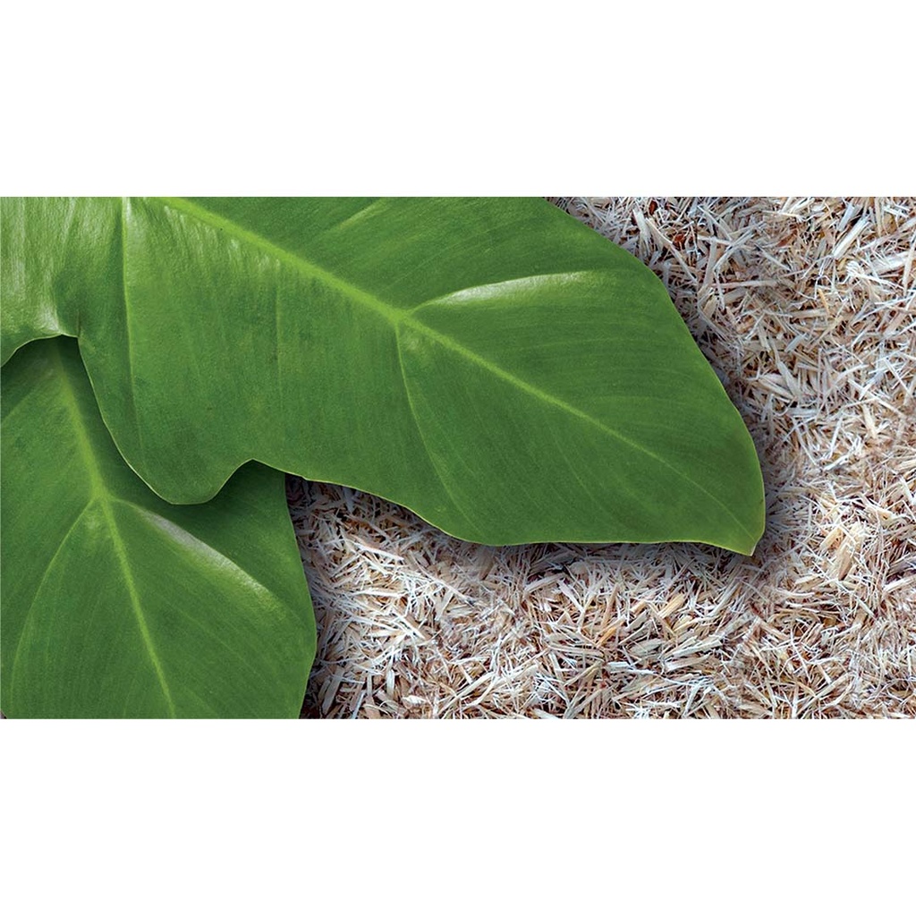 EX snake bedding substrate