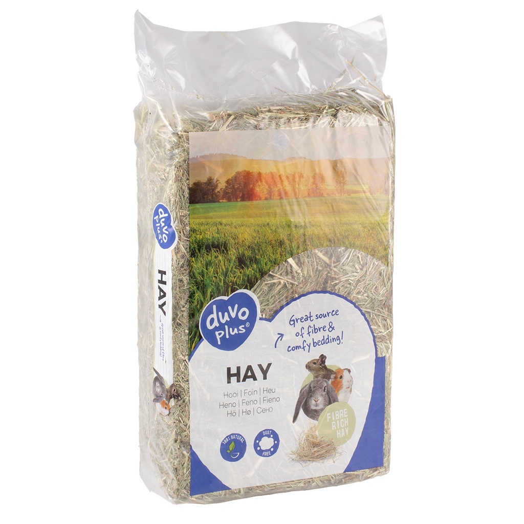 Hay