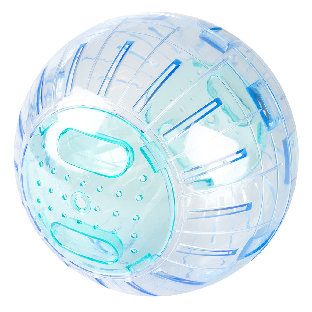 Activity ball for rodents