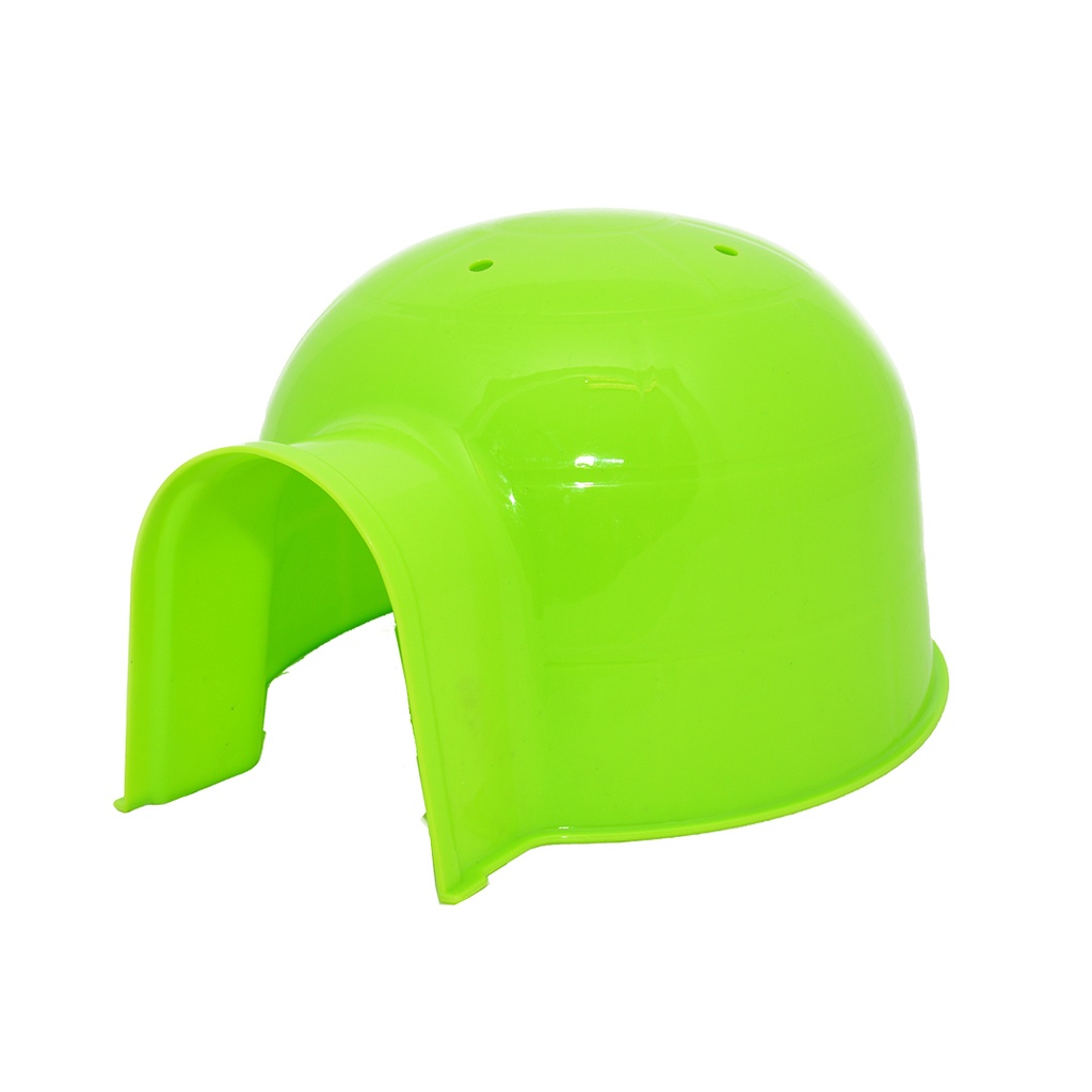 Igloo