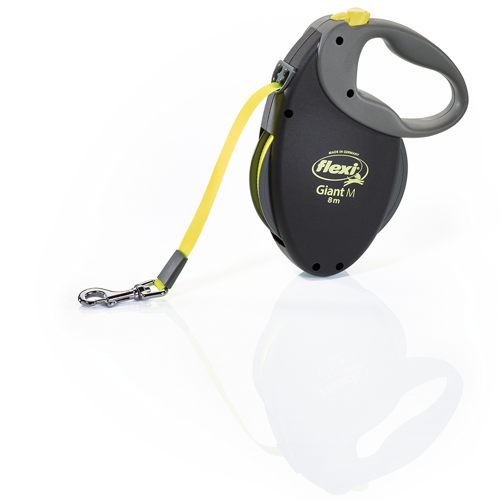 Flexi Giant Neon Gurt