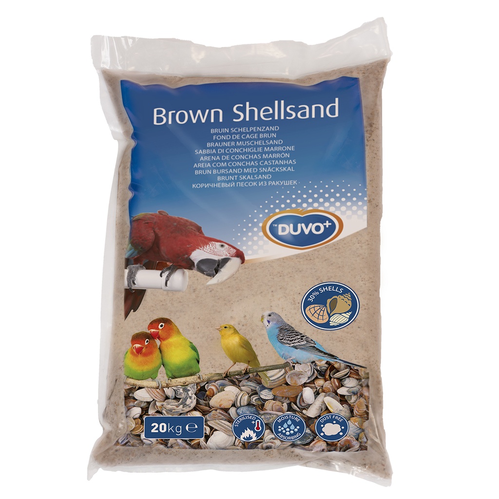 Brown shellsand