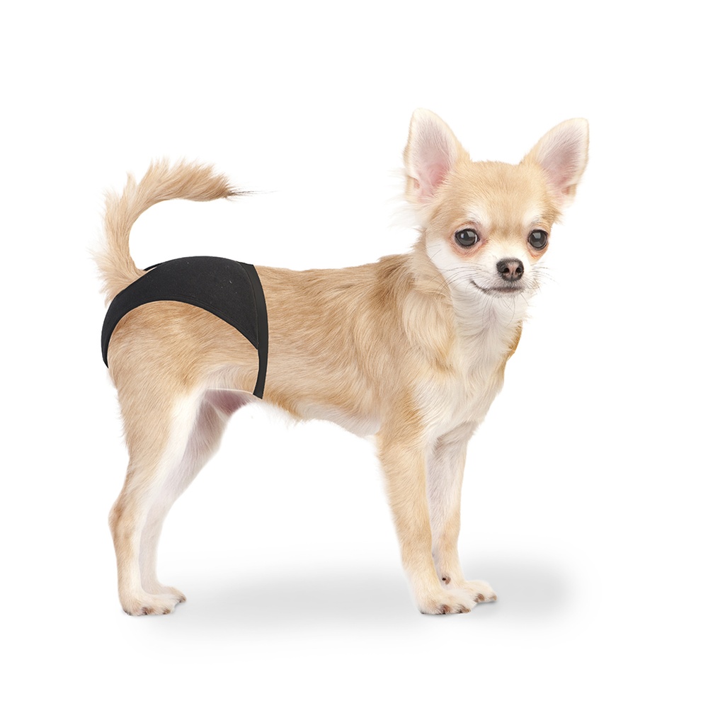Dog Pants