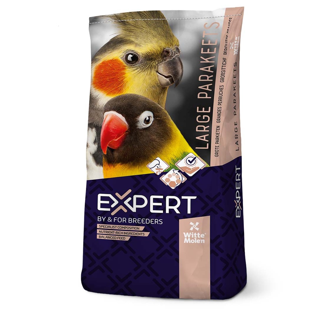 Expert Großsittiche