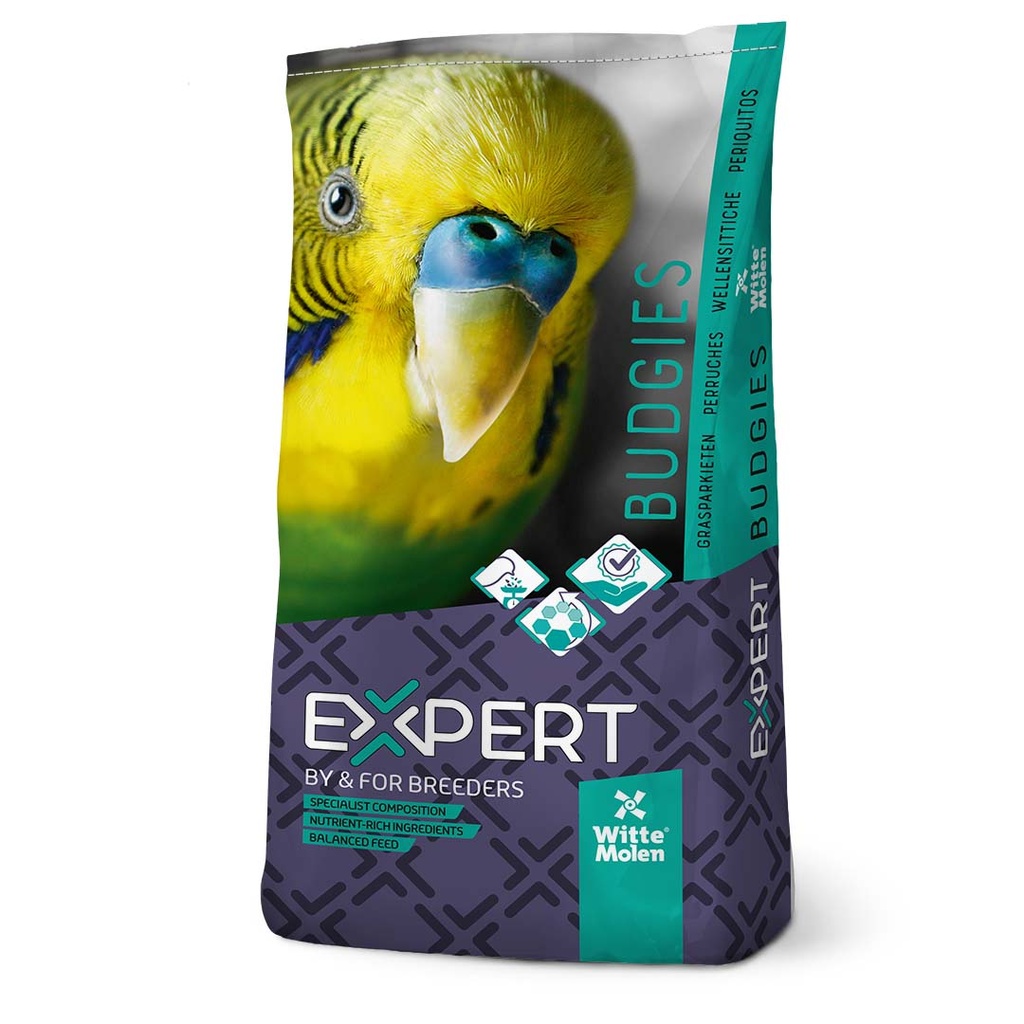 Expert perruches