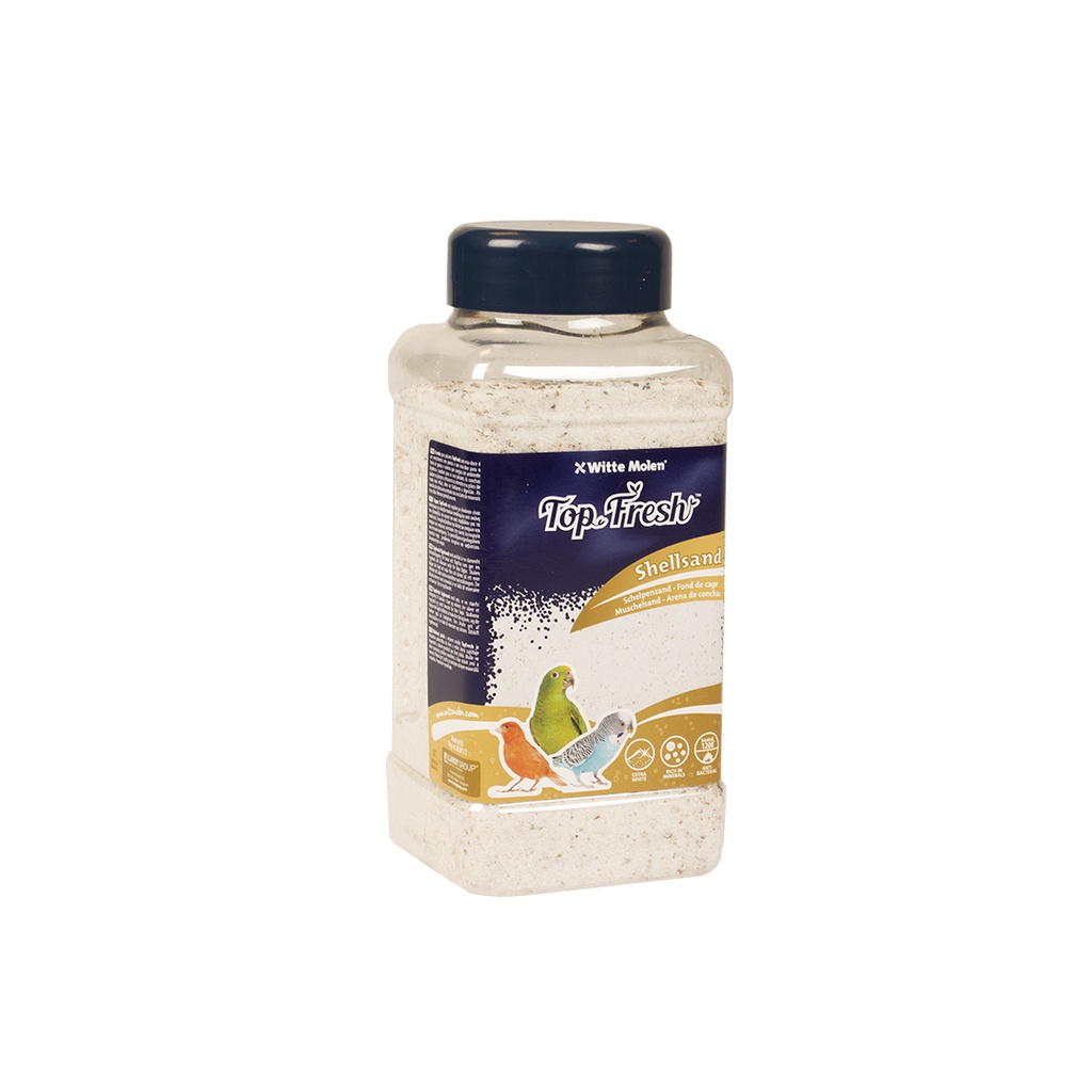 Top Fresh shellsand white