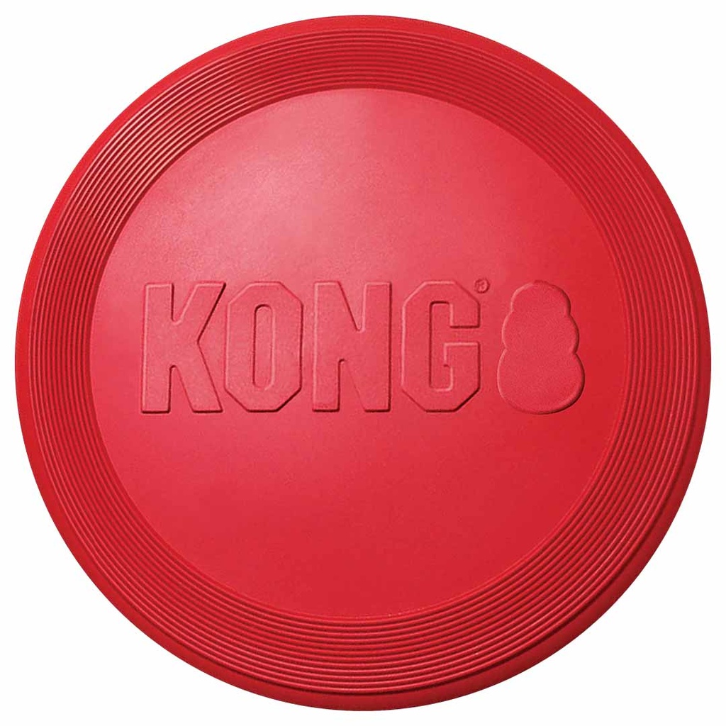 KONG flyer