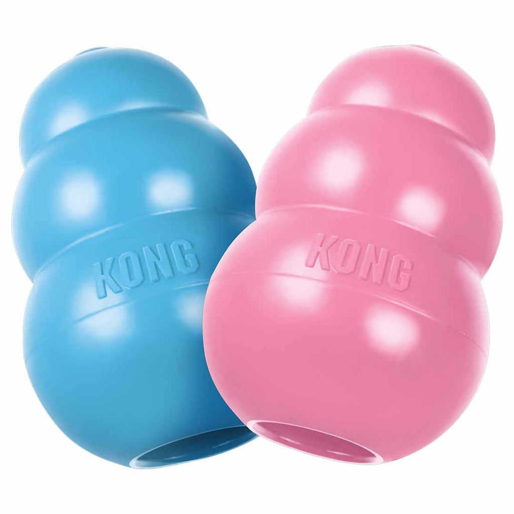 KONG puppy