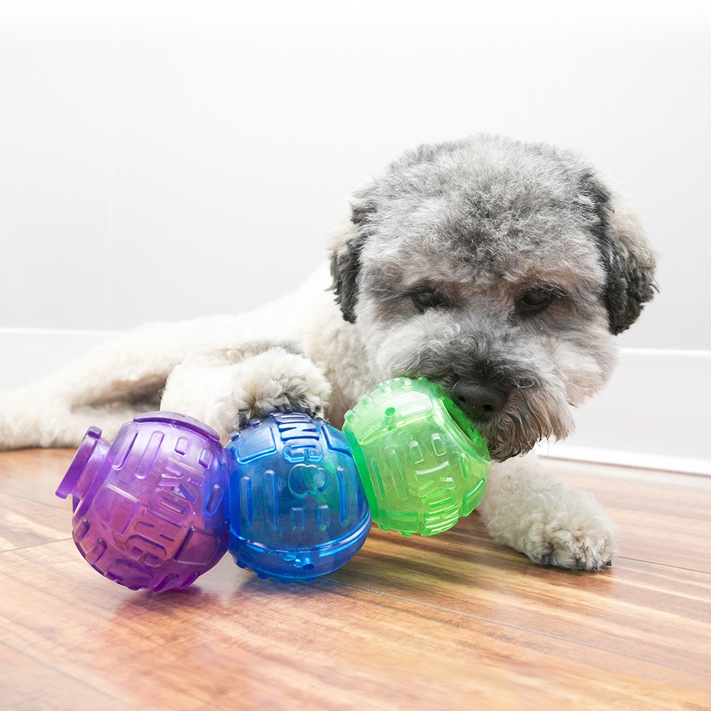 KONG lock it