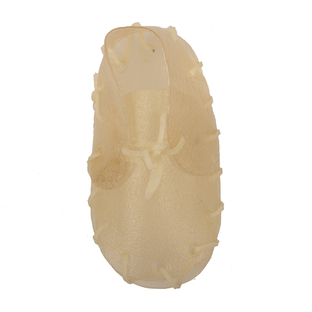bone! Kauwschoen