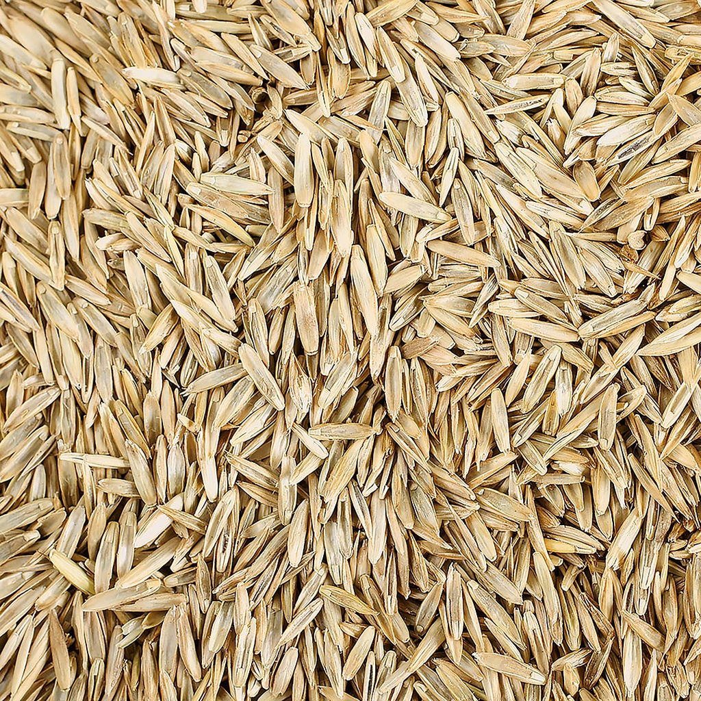 Grass seed birds