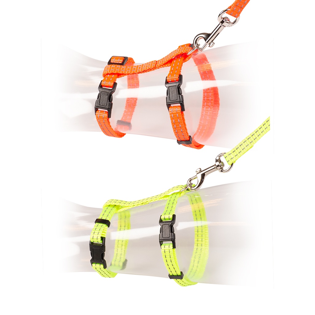 Set de promenade chat réfléchissant uni