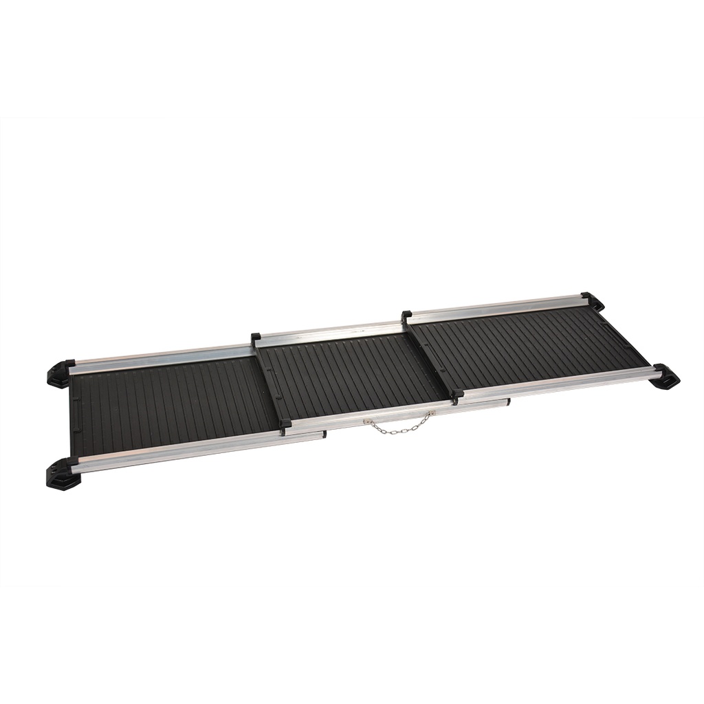 Easy-Step Pro Rampe