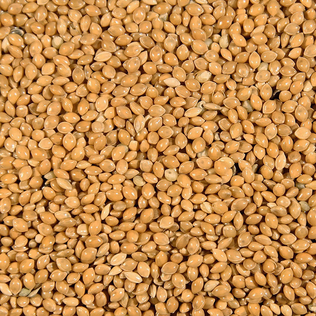 Millet geel = rondzaad geel duvo