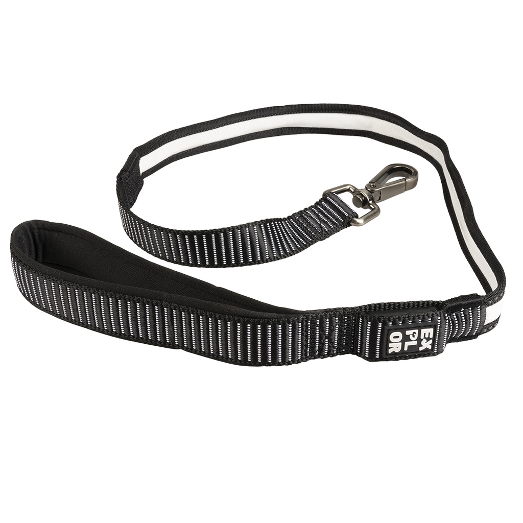 EXPLOR City Paris Leine LED nylon