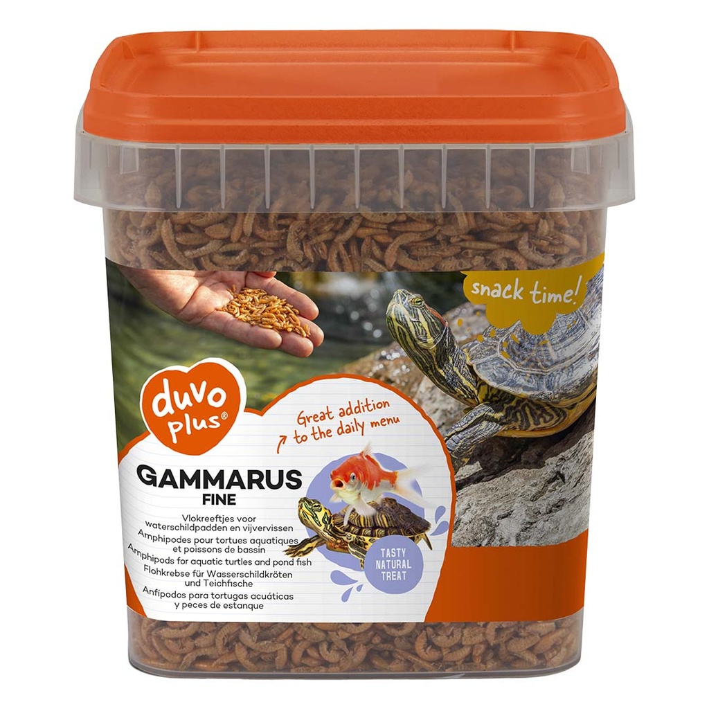 Gammarus fijn