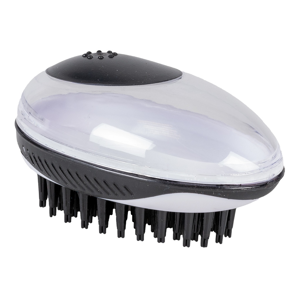 Shampoo and massage brush