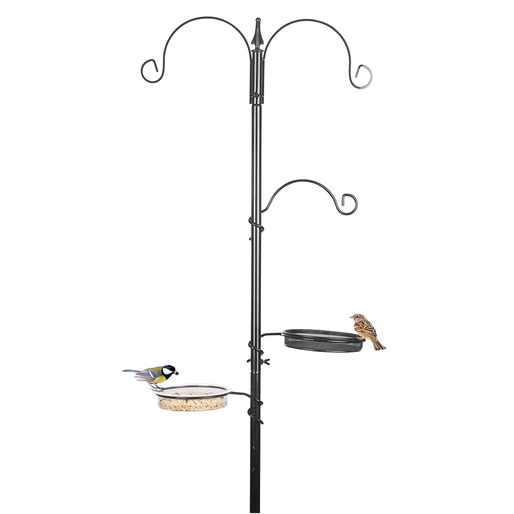 Station d'alimentation oiseaux de ciel