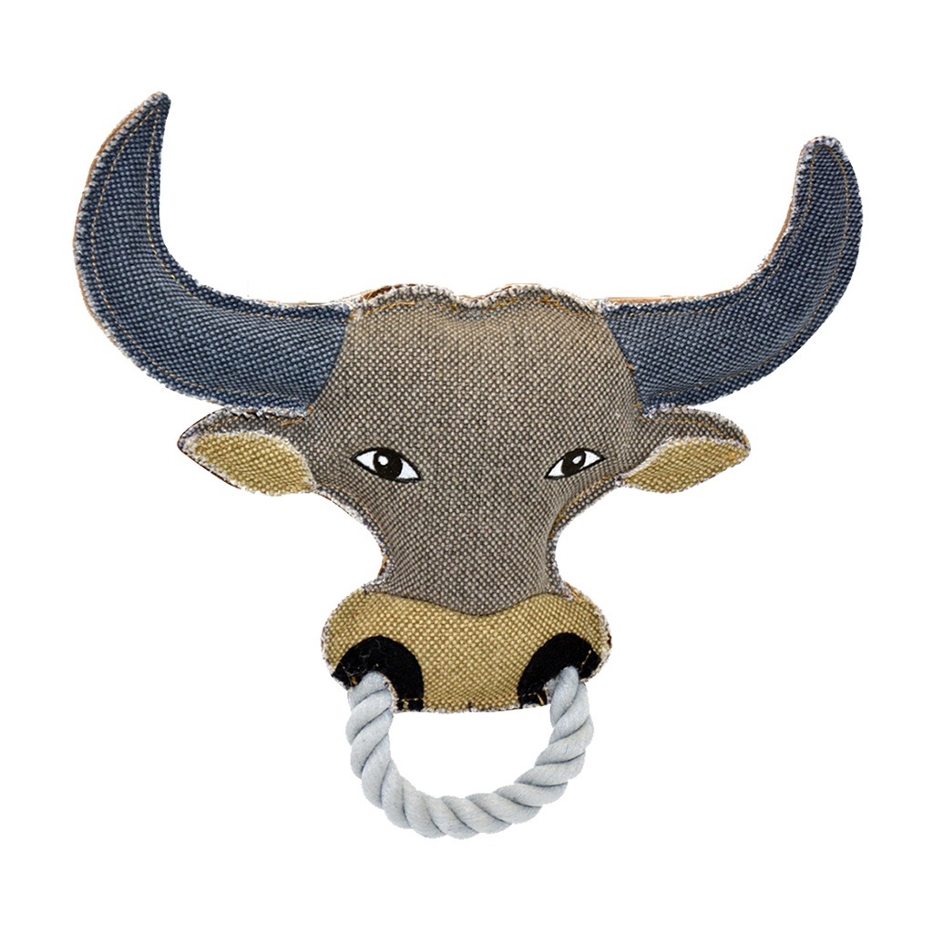 Taureau Canvas