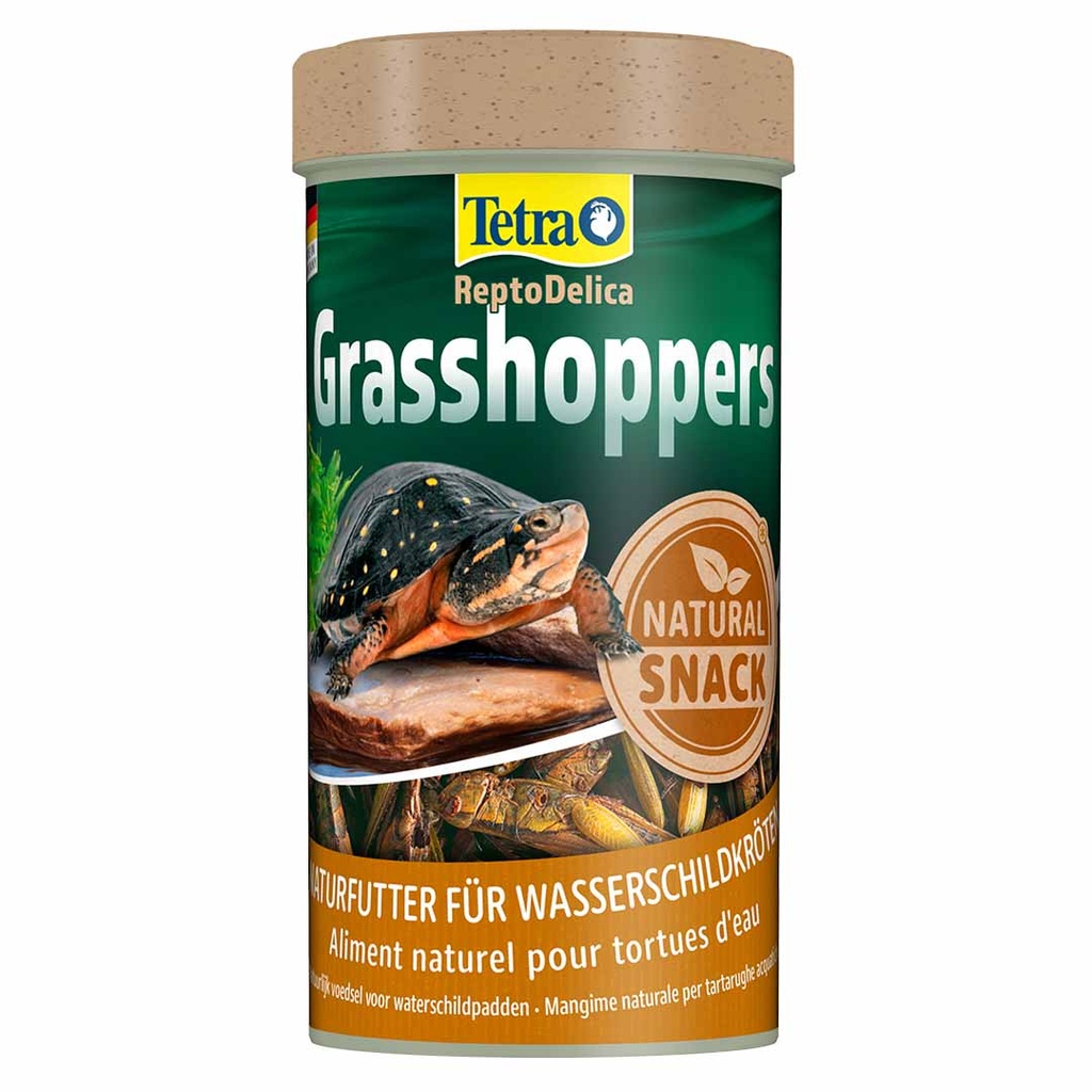 Reptodelica sprinkhanen
