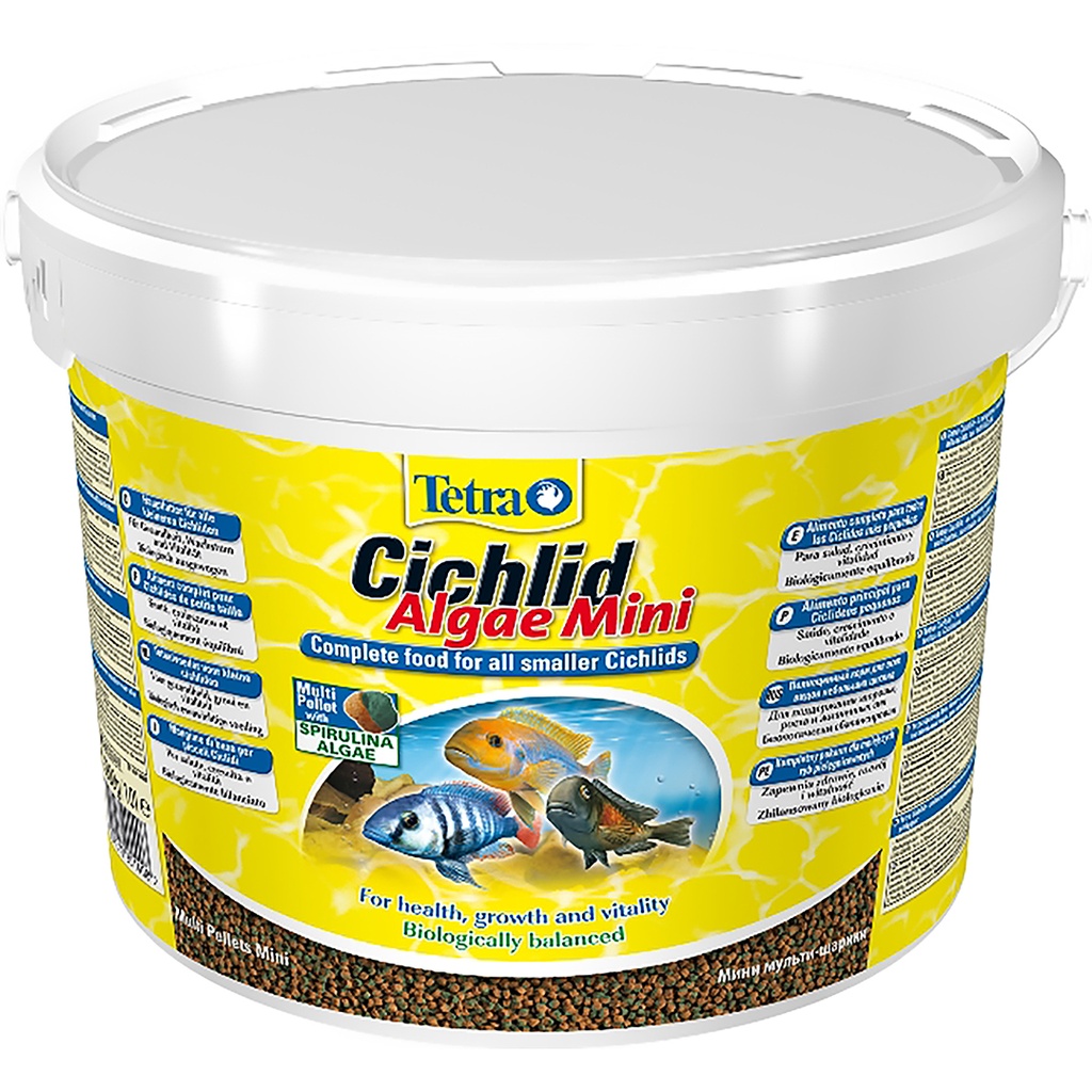 Cichlid algae mini