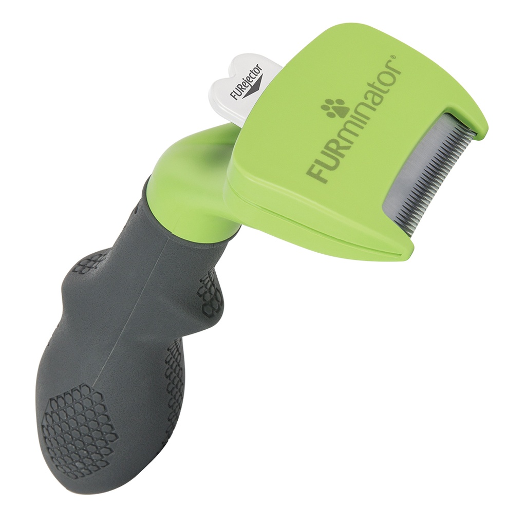 Hund undercoat kurzhaar