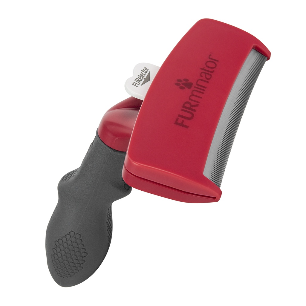 Deshedding poils courts chien