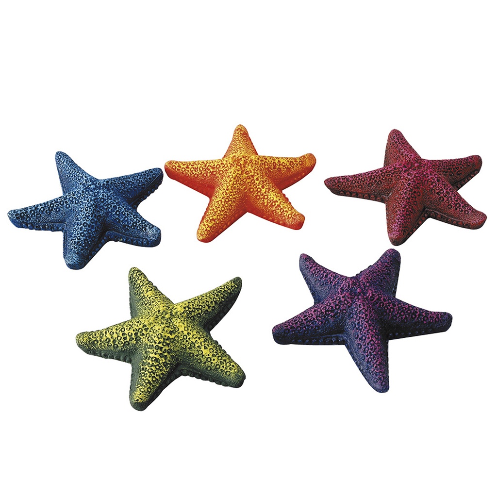 Starfish assorted