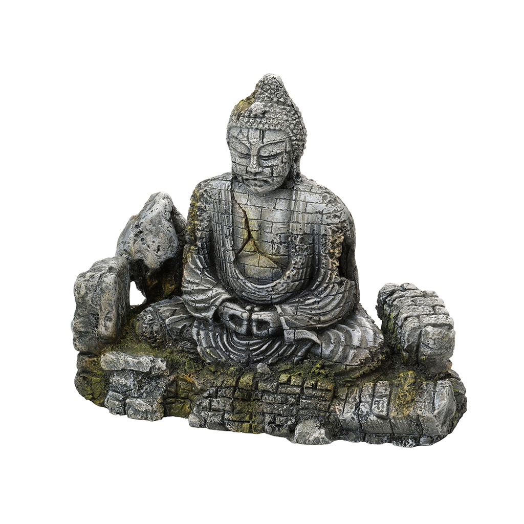 Buddha