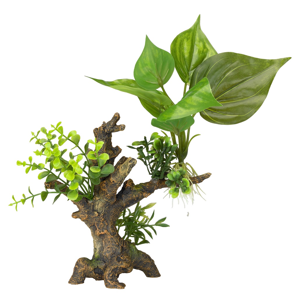 Florascape 6
