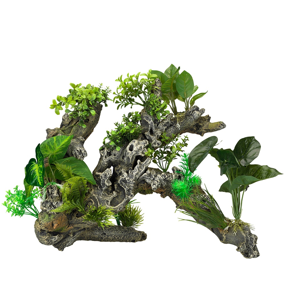 Florascape 9